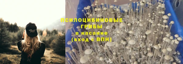 прущая мука Алзамай