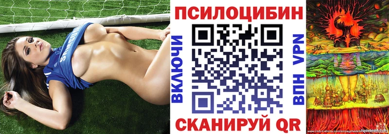 купить закладку  Сольвычегодск  Галлюциногенные грибы мицелий 